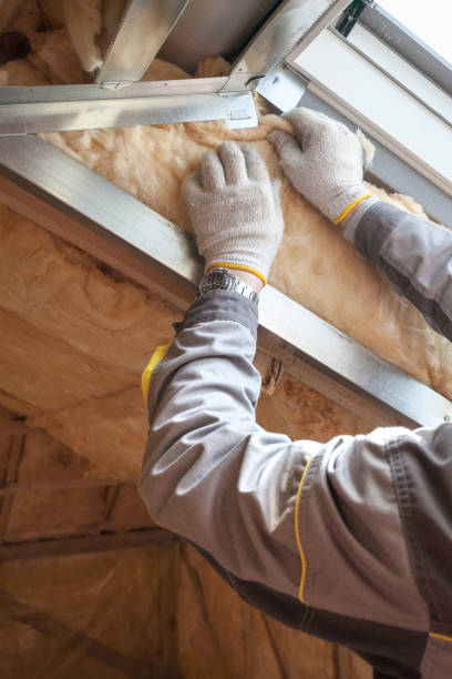 Best Cellulose Insulation in Roswell, NM