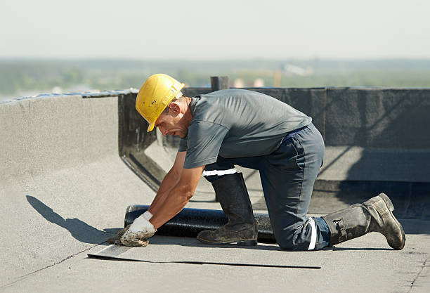 Best Geographic-Specific Insulation Services in Roswell, NM