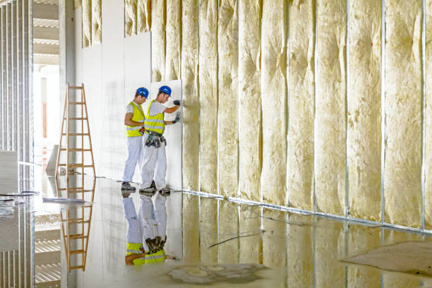 Professional Insulation Contractor in Roswell, NM
